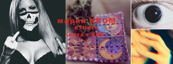 a pvp Каменногорск