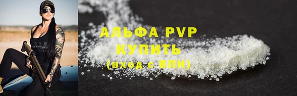 a pvp Каменногорск