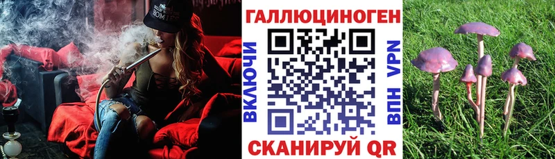 Псилоцибиновые грибы Psilocybine cubensis Купить закладки Арсеньев